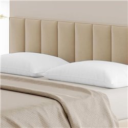 Coppia Federe Bianche Biancaluna Linea Colored in 100% puro cotone per Hotel e BeB